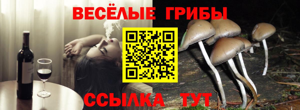 Галлюциногенные грибы прущие грибы  Псилоцибиновые грибы Magic Shrooms  Вход с VPN  Баксан 